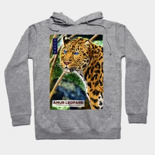 Amur Leopard - White Hoodie